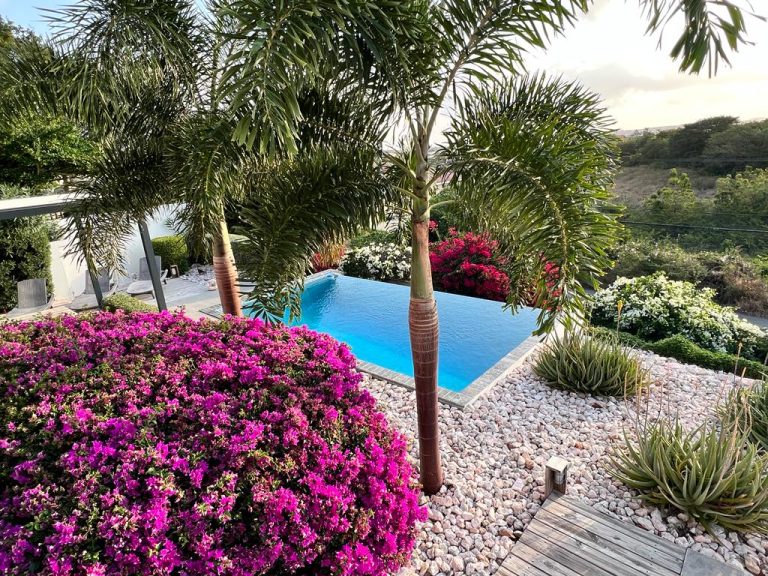 Privé infinity pool
